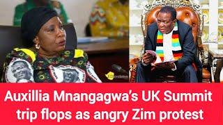 Zanu-PF Panic after Auxillia Mnangagwa’s UK Summit trip flops as angry Zim protest Plan B executed!