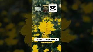 How to edit moody tone in capcut tutorial, moody color grading, #youtubeshorts #moodyediting