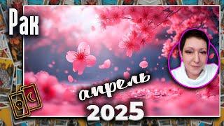 Рак Таро Апрель 2025