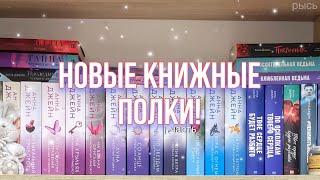 новые книжные полки 2024! || мои книги