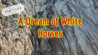 A Dream of white horses