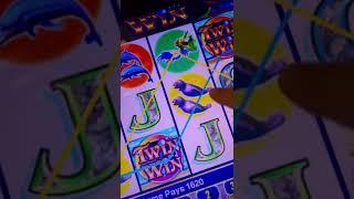 The king strikes again!! Twin Win Slot!!