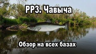 Русская Рыбалка 3. Чавыча. Обзор на всех базах.