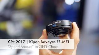 Lumix GH5 Speed Booster Comparision: Kipon Baveyes vs. Metabones Speed Booster XL [German]