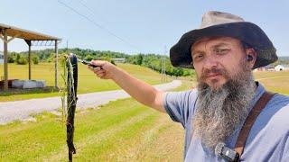 Mowing Hay... and I Hit THIS?