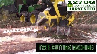 1270G cutting BIG RED PINE John Deere Power