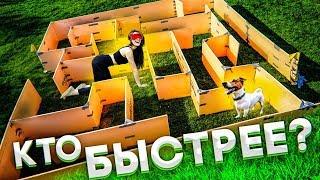 ВОЗМОЖНО ЛИ ПРОЙТИ ЛАБИРИНТ ВСЛЕПУЮ БЫСТРЕЕ СОБАКИ?!