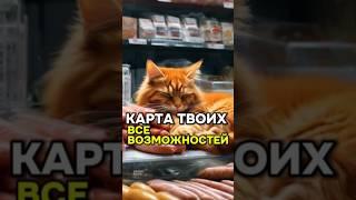 Как сделать карту банка максимально выгодной? ПОЛУЧАЙ максимально выгодный кешбек