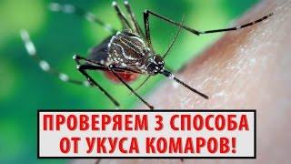 Как избавиться от зуда после укуса комара? Проверяем 3 СРЕДСТВА после укуса комаров!