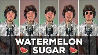 Harry Styles - Watermelon Sugar | A Cappella Cover