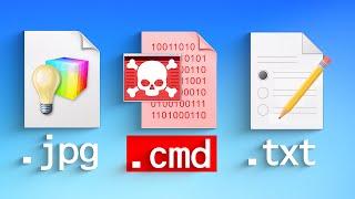 What Kinds of Files Can Be Viruses?