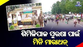 International Tiger Day 2024: Similipal North Wildlife Division Organised 5 Km Mini-marathon | Watch