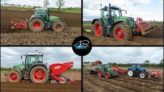 Potatoes From Planting to Harvest In Northern Ireland