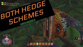 How to get both Hedge schemes in Grounded