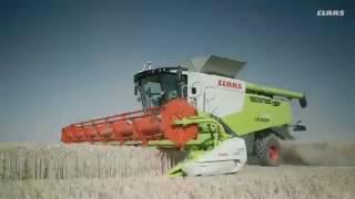 Флагман сельхозмашиностроения CLAAS LEXION 600 в работе