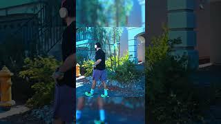 Morning Walk   #armantsarukyan #tsarukyan