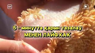 5 - минутта қарын тазалау МЕНЕН ЛАЙФХАК