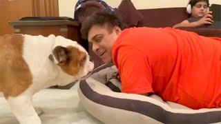 Ram Kapoor Very FUNNY Conversation With His Dog   . | Must Watch