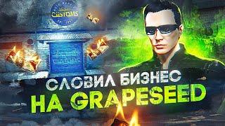 Словил ТОПОВЫЙ БИЗНЕС на НОВОМ СЕРВЕРЕ GRAPESEED в GTA 5 RP