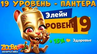 КАЧАЕМ 19 УРОВЕНЬ - ЗОЛОТАЯ КОШКА ЭЛЕЙН В ИГРЕ ZOOBA