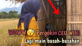 KE PERGOK CEU WINI LAGI MAIN BASAH‼️ || ADA APA DENGAN CEU WINI⁉️