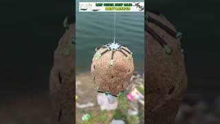 How to fishing spider ballset  #shorts #spiderballset #fishing  #rohufishing #carpfishing
