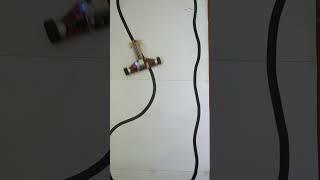 TORTUGUIN  se hace cada vez más veloz...