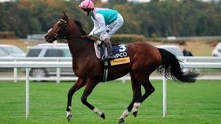 Frankel - The 'Wonder Horse' [All 14 Wins]