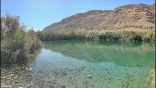 Lowest Spring on Earth at Dead Sea~ Enot Tsukim/Ein Fashkha~ עיינות צוקים– עין פשחה