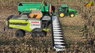 Mais Ernte 2022 Körnermais dreschen Mähdrescher Claas Lexion & Traktor John Deere 8R Landwirtschaft