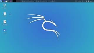 kali 2019,4 -kali undercover mode -linux or windows ????