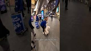 Interactions with my dog!! #youtubeshorts  #shorts #viral #pets #fyp #foryou #london #famous #viola