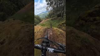 Charging through a scenic and kinda gnarly section of Vancouver Island MTB trail!