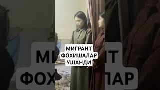 МИГРАНТ ФОХИШАЛАР УШЛАНДИ