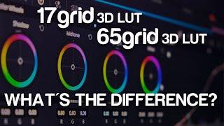 LUTs Explained - What's the difference between a 17grid 3D LUT and 65grid 3D LUT?