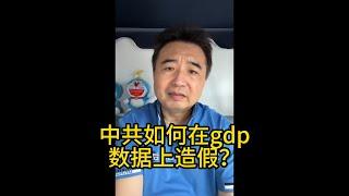 翟山鹰：中国的gdp数据不过是一场骗局，是中共国家统计局的数字游戏