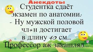 Студентка сдаёт экзамен по анатомии... Подборка смешных жизненных анекдотов Лучшие анекдоты 2021