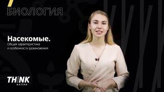 Членистоногие. Насекомые | Биология