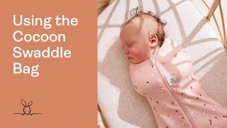 How to use the Cocoon Swaddle Bag by ergoPouch for safe newborn sleep