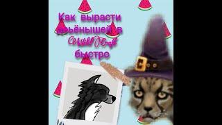 Как быстро вырастить детей в WildCraft[Mangle TV]