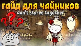 ЛУЧШИЙ ГАЙД  ОТ ПРОФИ ДЛЯ НОВИЧКОВ  в Don't Starve Together