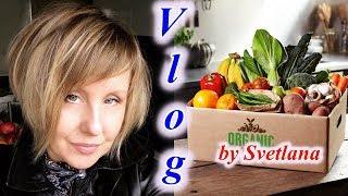 Французские Продуктовые Рынки:Французские Цены/ Поход на Рынок/Vlog Франция/ Svetlana ФРАНЦИЯ