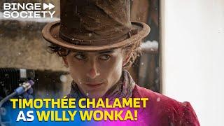 Timothée Chalamet: The Charming Actor That’s Taking Hollywood By Storm!