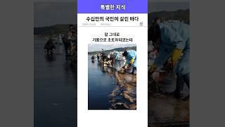 끝났다는 서해를 살린 국민들 ‘태안기름유출사고’