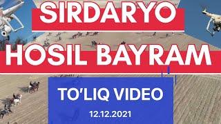 Sirdaryoda katta Uloq Kopkari DRONda olingan TO'LIQ VIDEO HD FORMAT faqat ULOQ UZB Youtube kanalida