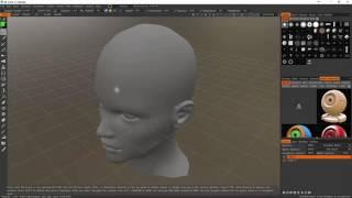 Unwrapping and Texturing in 3D Coat (Part 1)