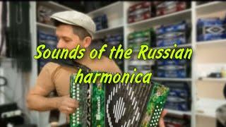 Guy plays beautiful melodies on the Russian harmonica