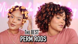 The Best Perm Rod Set!! + Healthy Hair Check-In