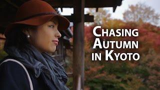 Beautiful Kyoto: The Most Amazing Autumn Momiji Leaves in Kyoto 京都の美しい紅葉