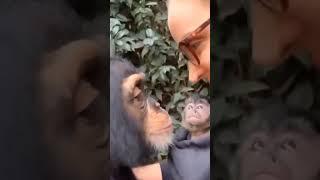 true love || #loveanimals #lovelypets #viralvideo #cuteanimals #pets #nikshorts